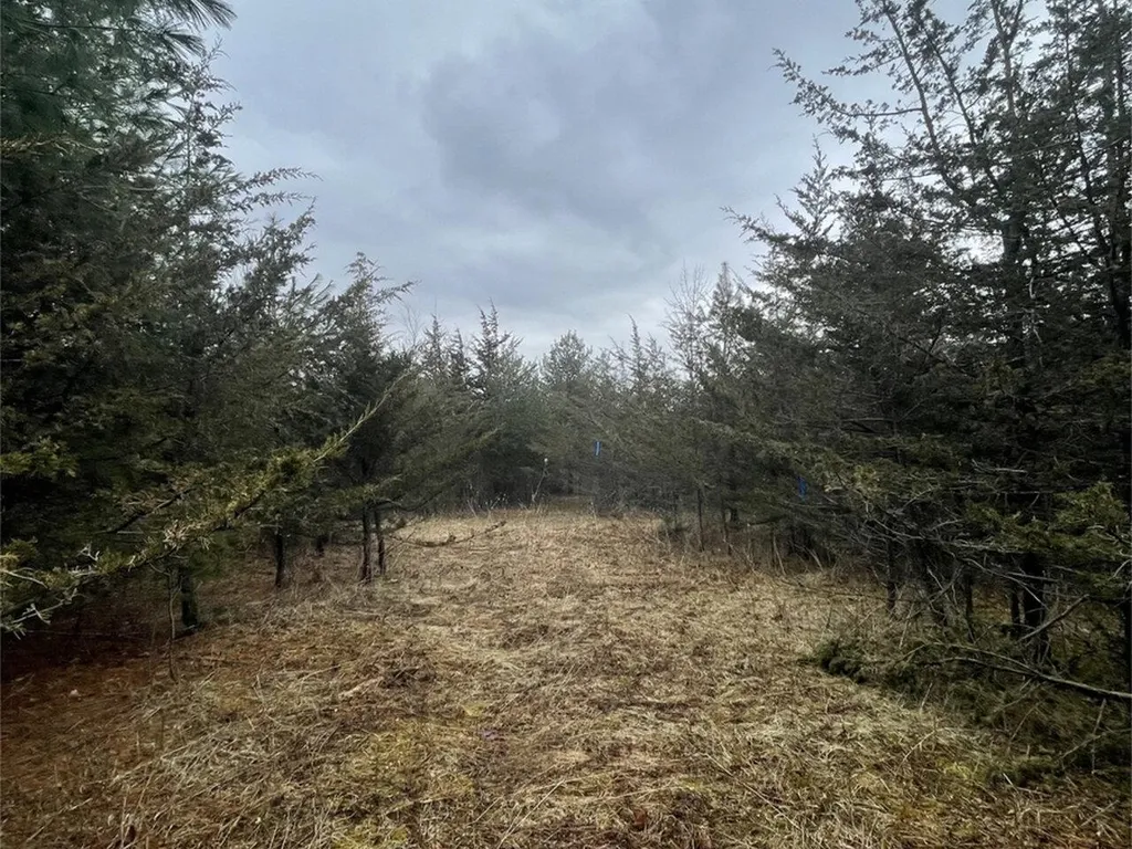 2532 Fuller Mountain Road Ferrisburgh VT 05473