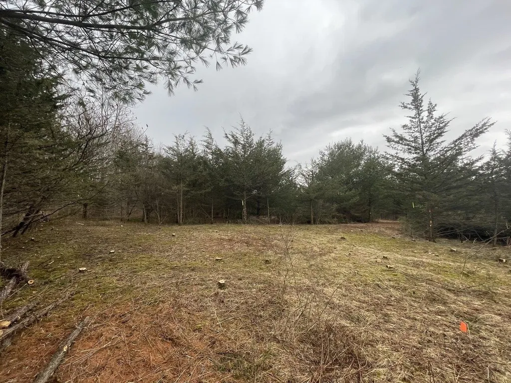 2532 Fuller Mountain Road Ferrisburgh VT 05473