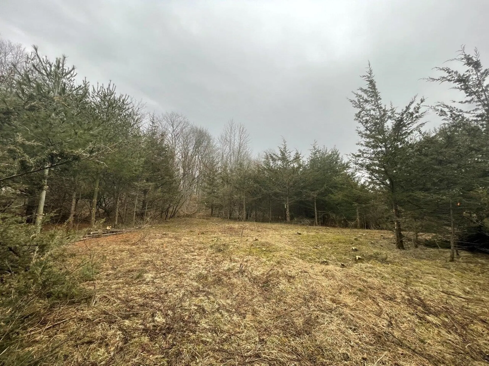 2532 Fuller Mountain Road Ferrisburgh VT 05473