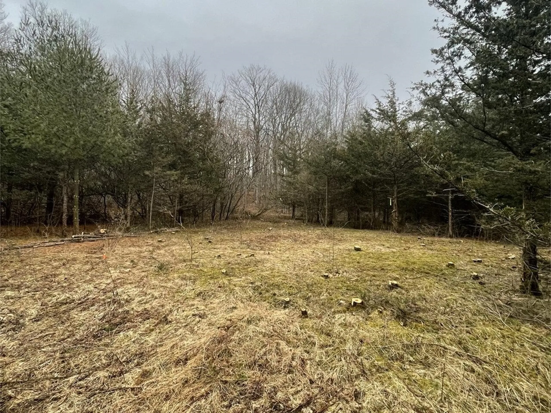 2532 Fuller Mountain Road Ferrisburgh VT 05473