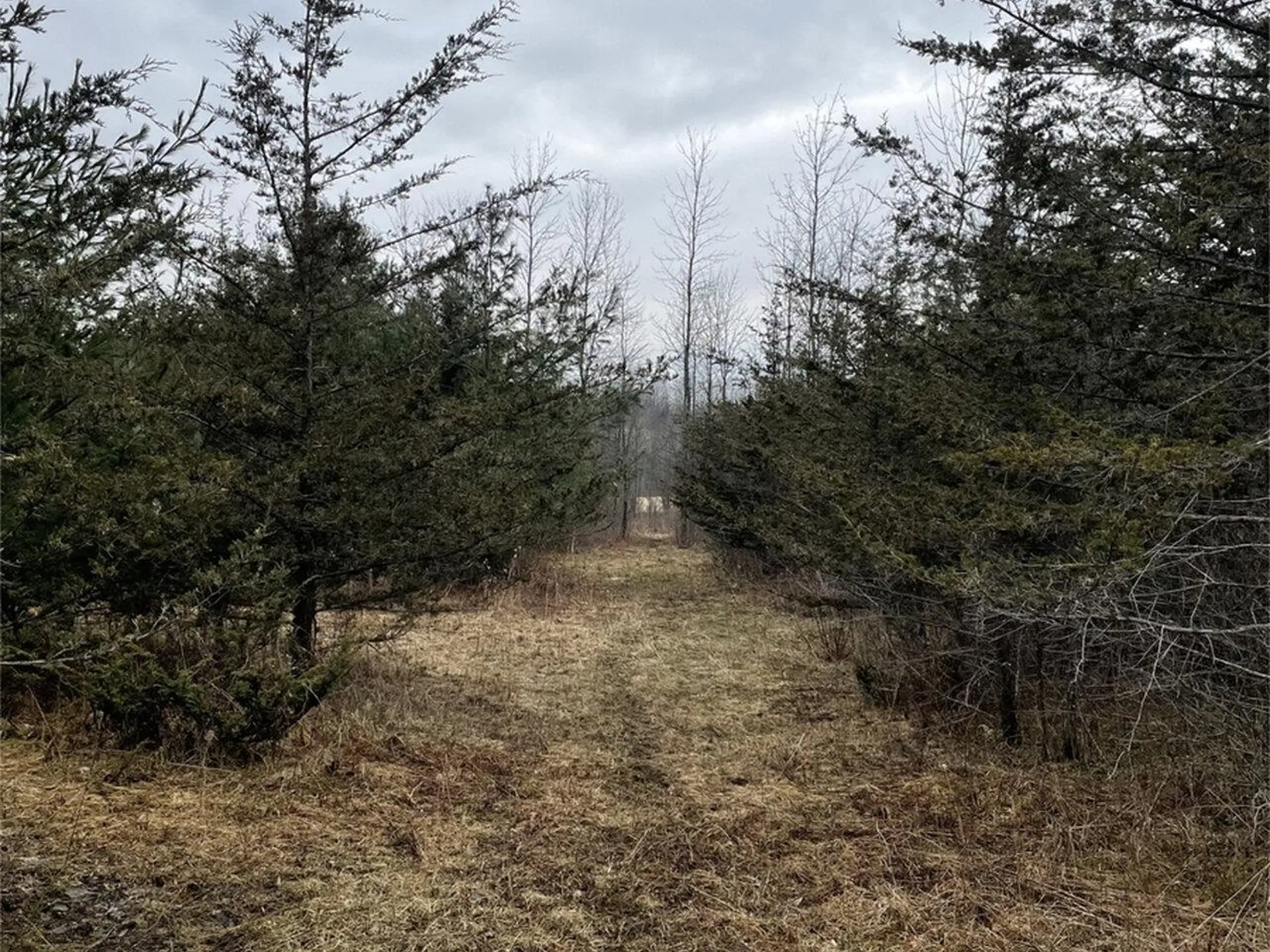 2532 Fuller Mountain Road Ferrisburgh VT 05473