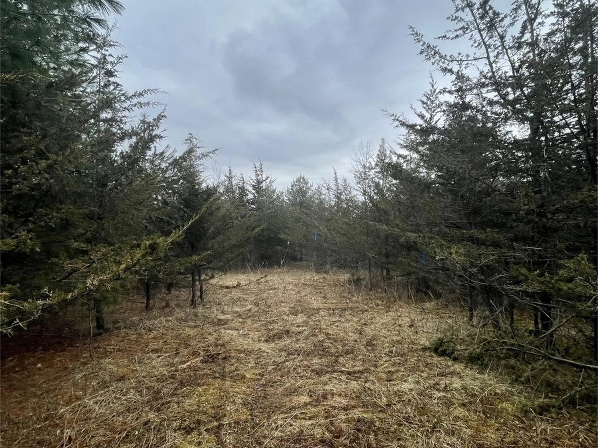 2532 Fuller Mountain Road Ferrisburgh VT 05473