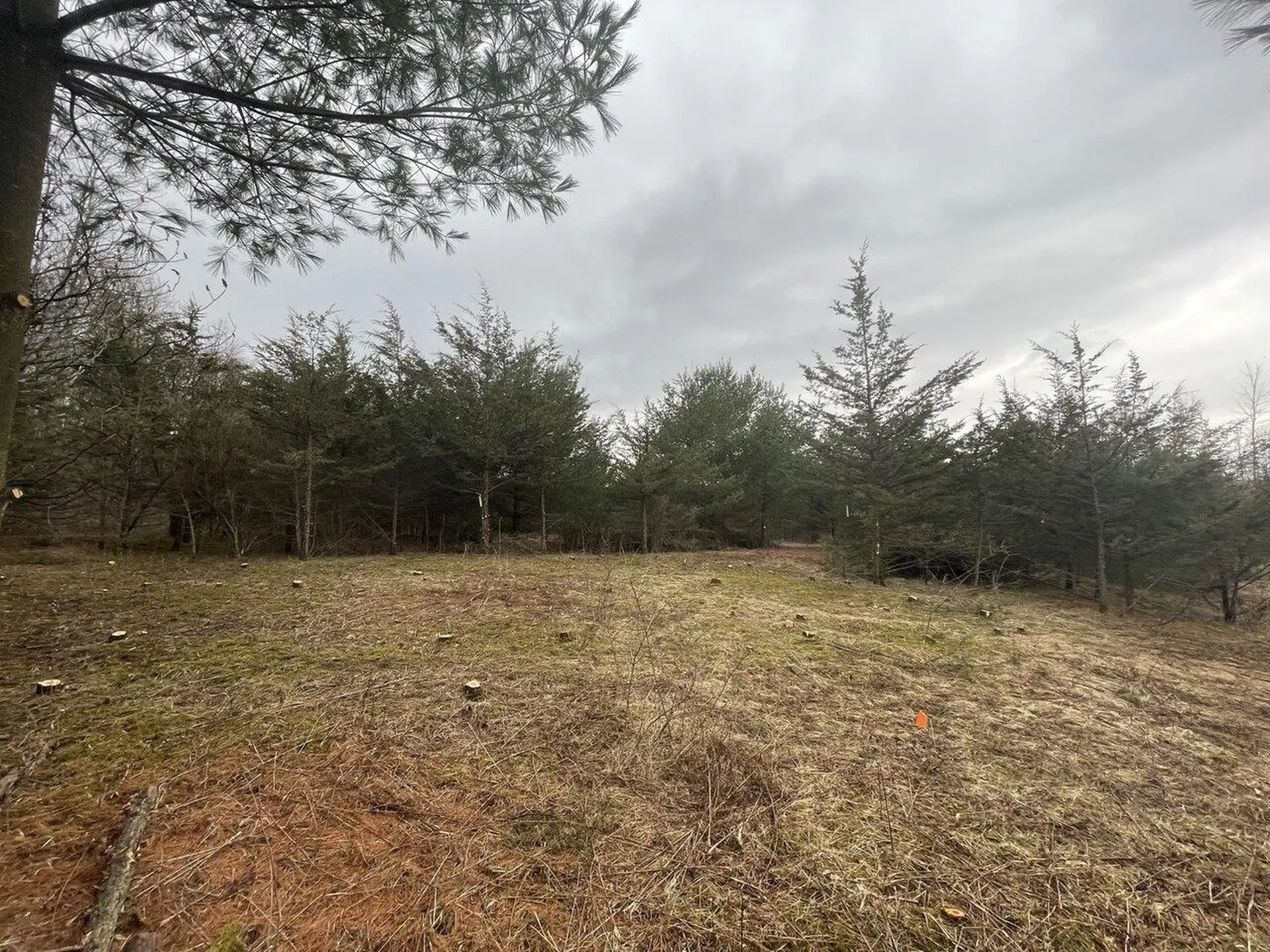 2532 Fuller Mountain Road Ferrisburgh VT 05473