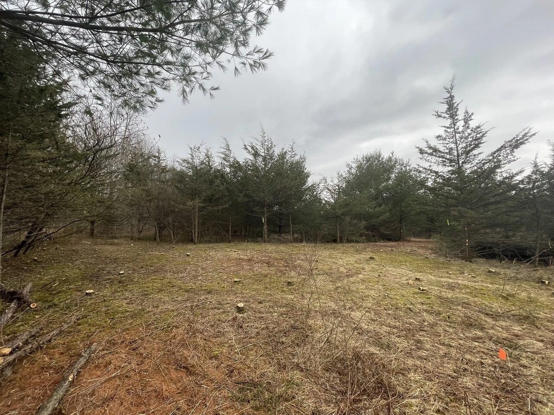 2532 Fuller Mountain Road Ferrisburgh VT 05473