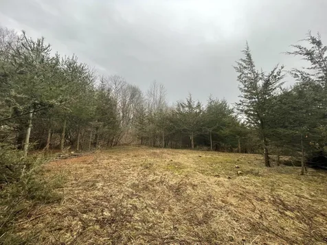 2532 Fuller Mountain Road Ferrisburgh VT 05473