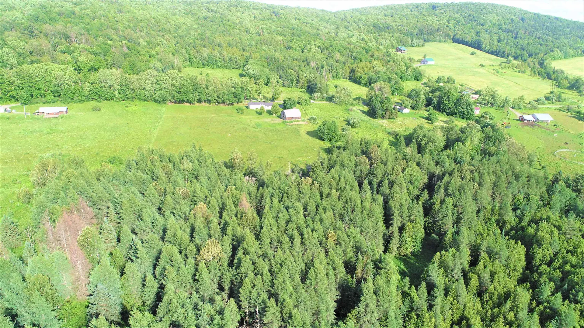 1913 Dexter Mountain Road Glover VT 05839