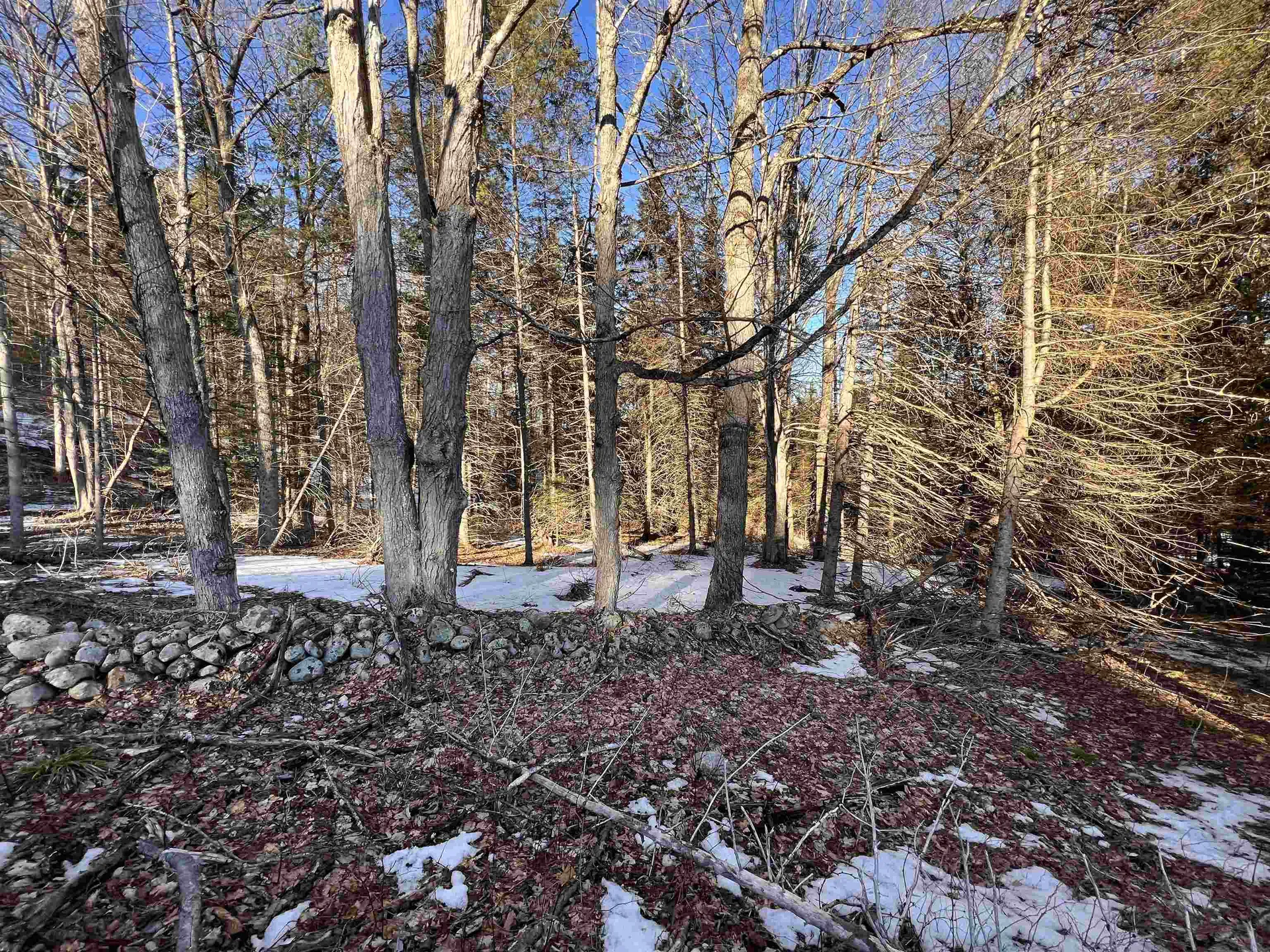 00 Durant Road Bradford VT 05033