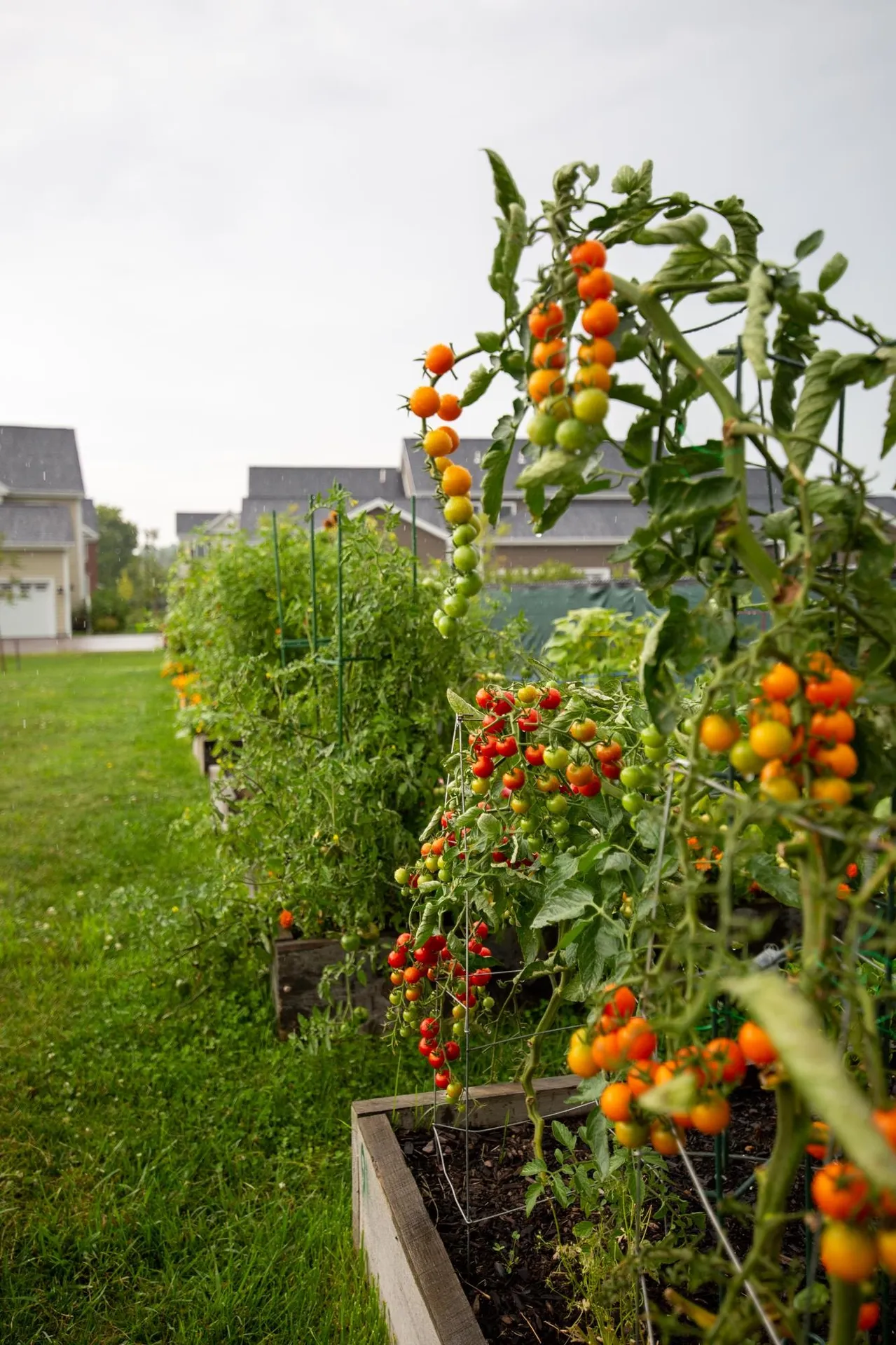293 Zephyr Road Williston VT 05495