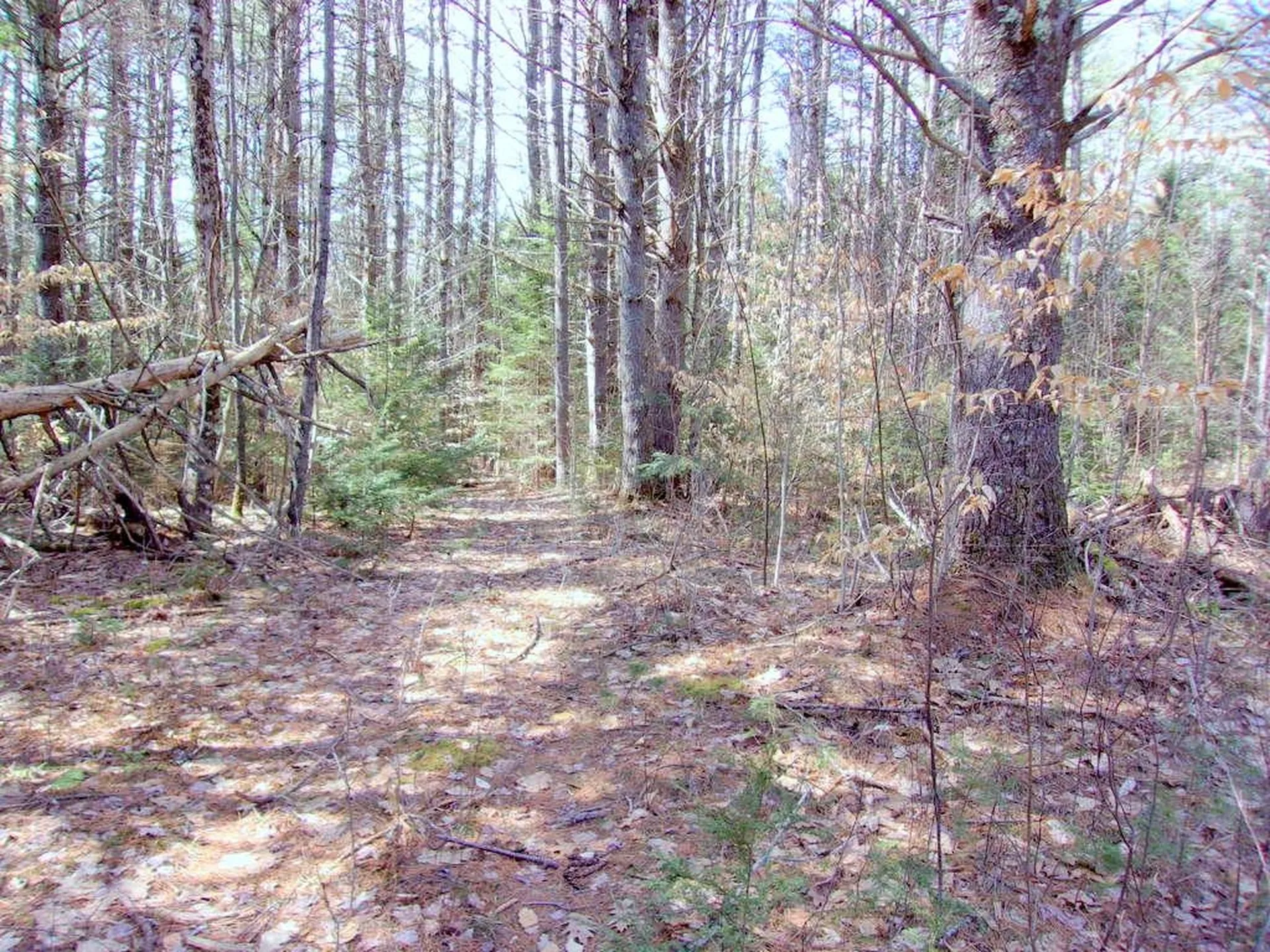 Swiftwater Circle Haverhill NH 03785