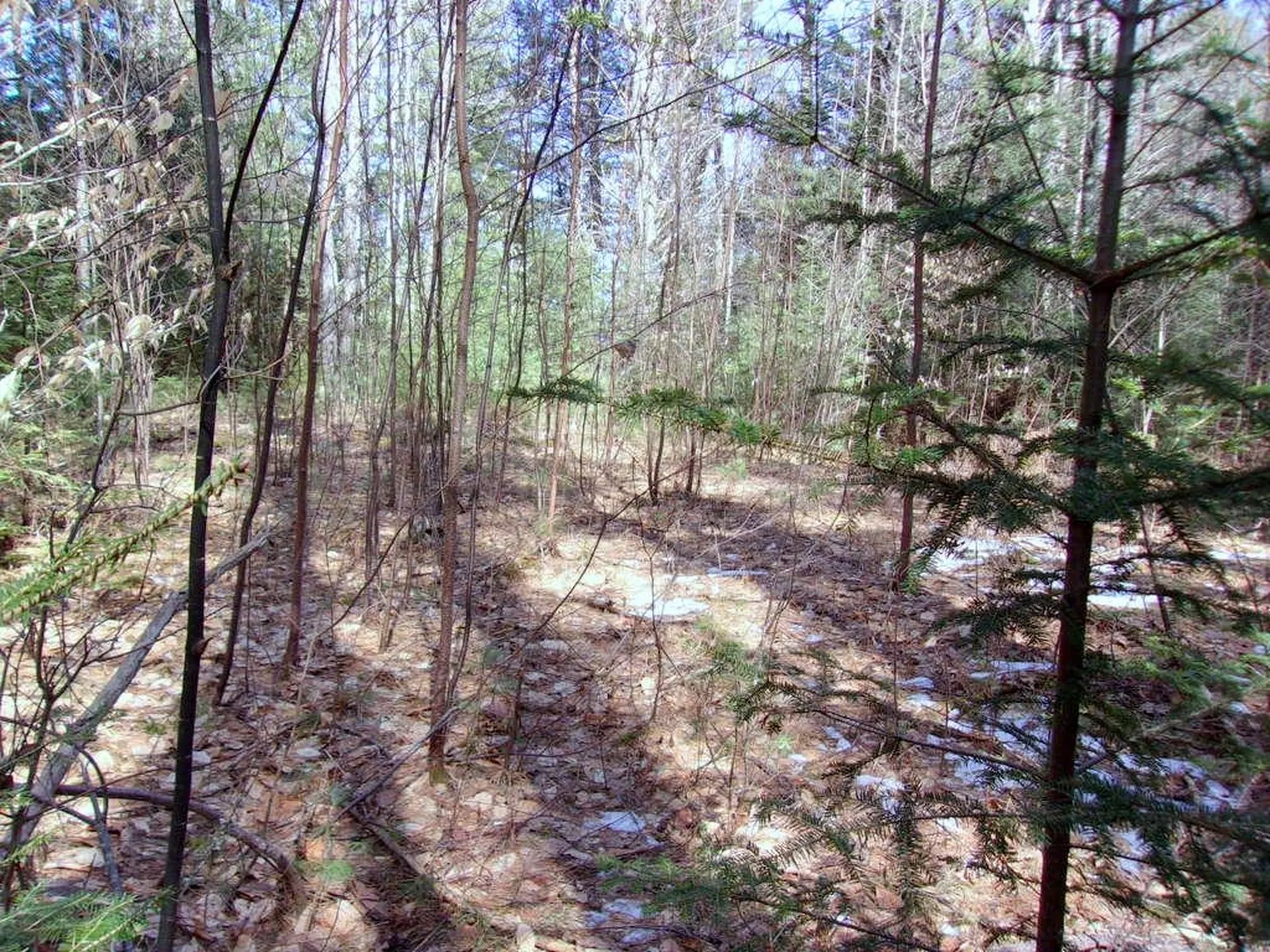 Swiftwater Circle Haverhill NH 03785