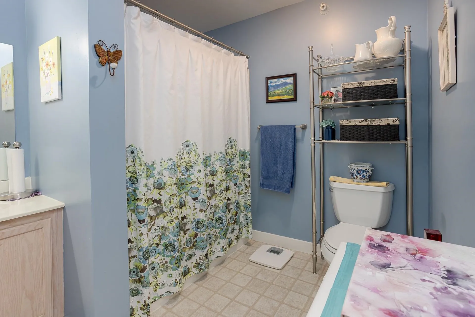 409 Farrell Street South Burlington VT 05403