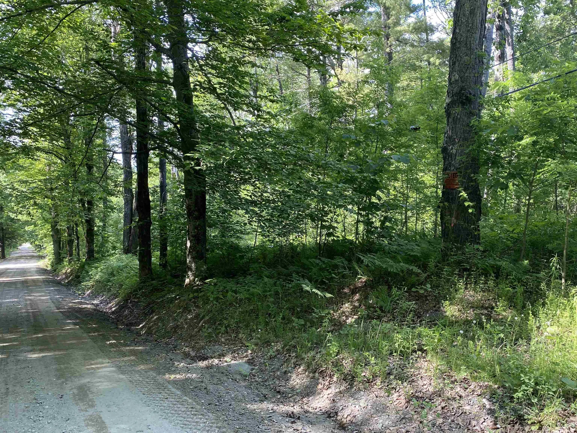 0 Ladieu Road Plainfield NH 03781