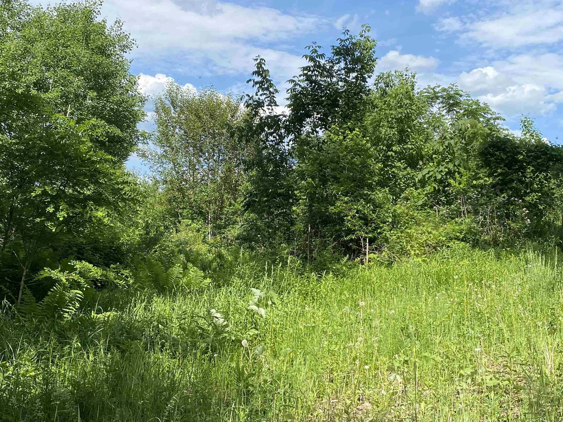 0 Ladieu Road Plainfield NH 03781
