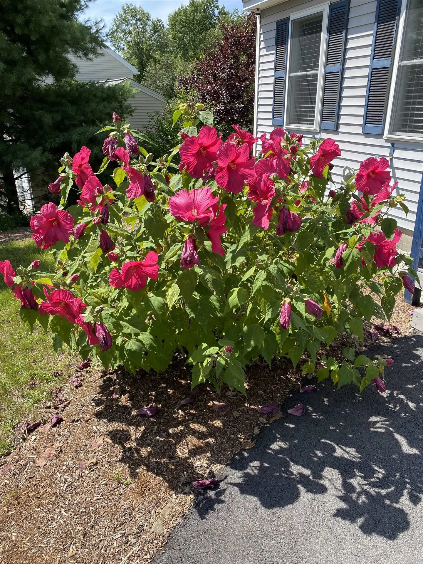 6 Brittany Circle Pembroke NH 03275