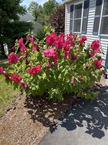 6 Brittany Circle Pembroke NH 03275