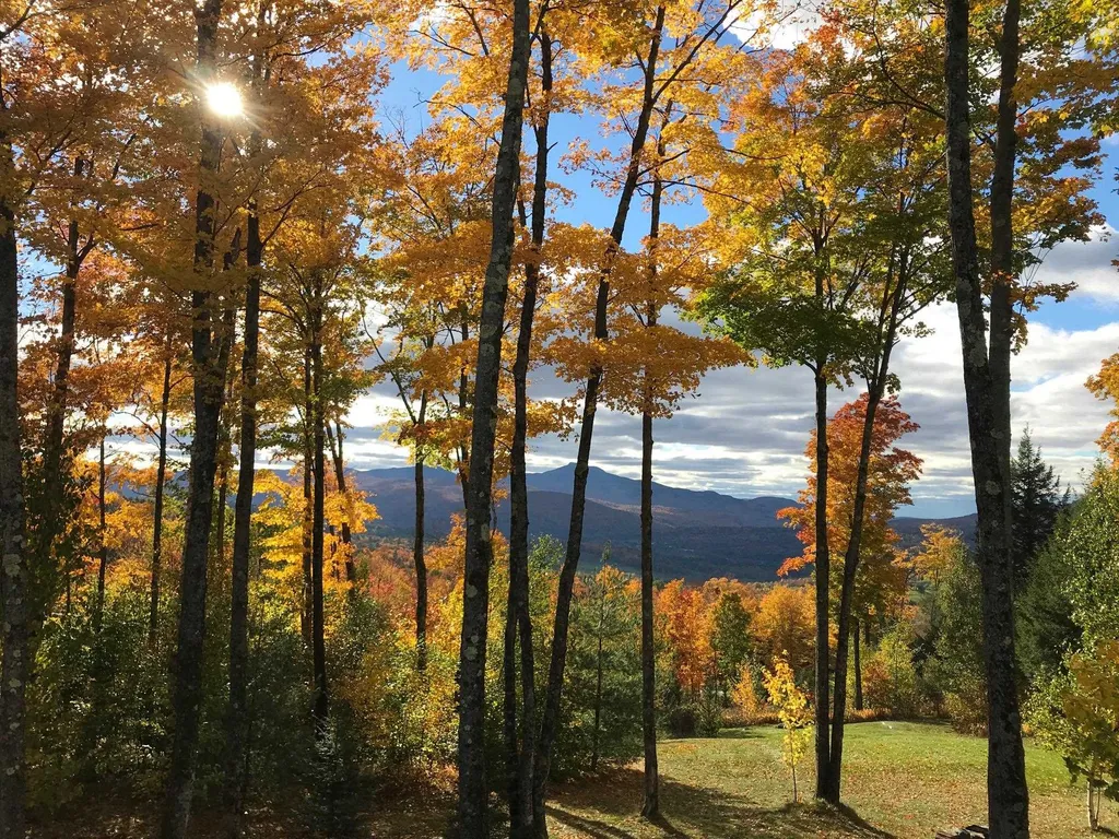 390 Bear Creek Lane Waterbury VT 05677