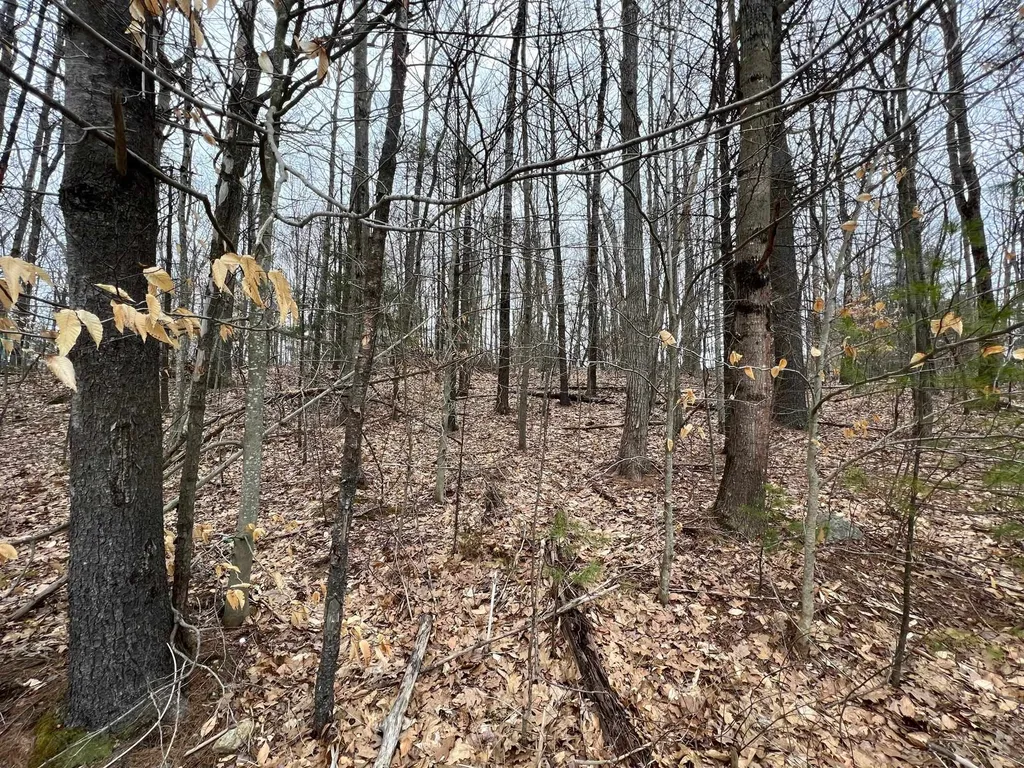 Map 36 Lot 72 A Varney Road Barnstead NH 03225