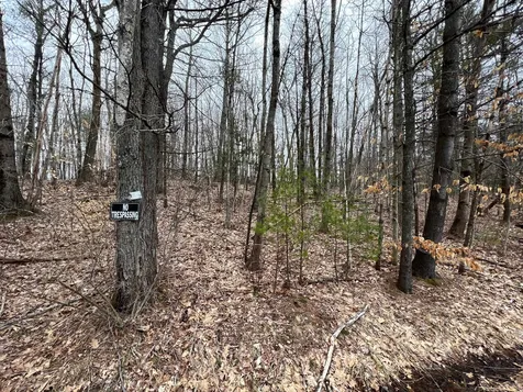 Map 36 Lot 72 A Varney Road Barnstead NH 03225