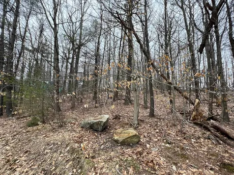 Map 36 Lot 72 A Varney Road Barnstead NH 03225