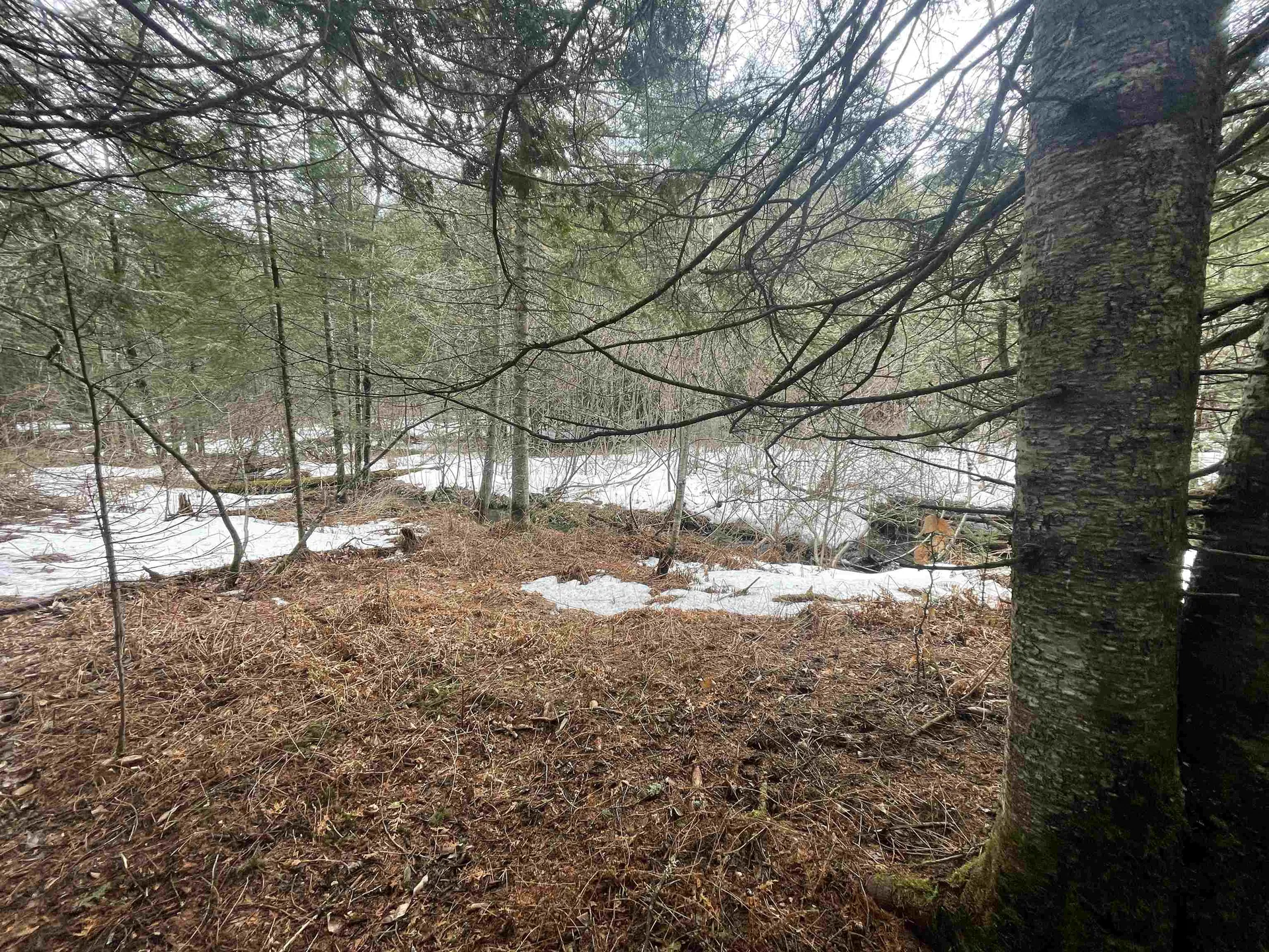 000 Route 5 Derby VT 05829