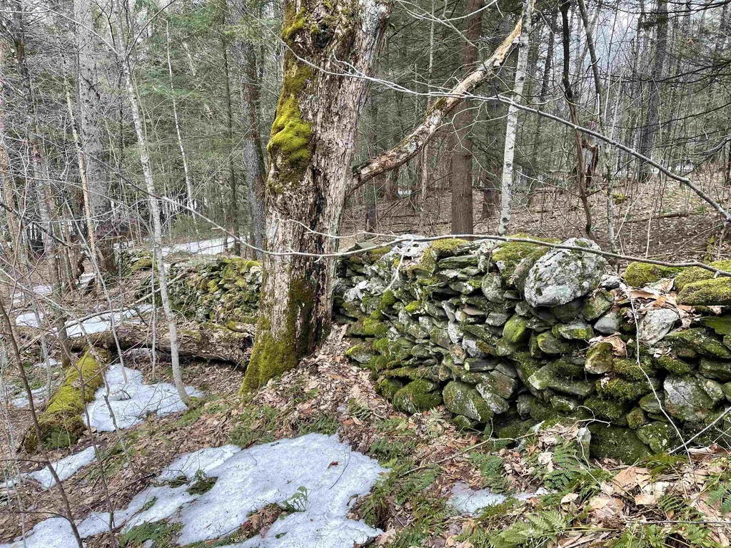 5634 North Road Royalton VT 05032-6220