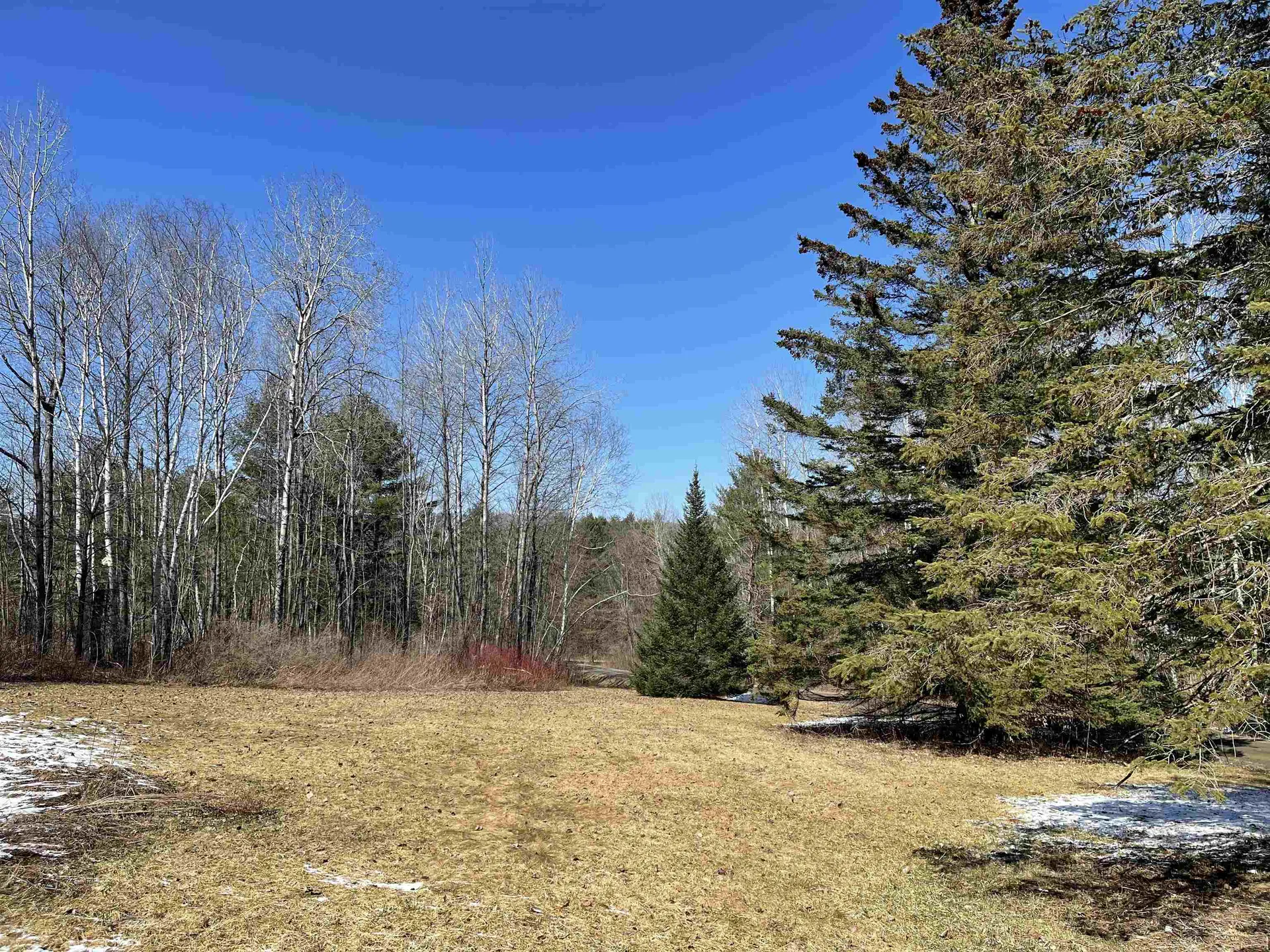 5634 North Road Royalton VT 05032-6220