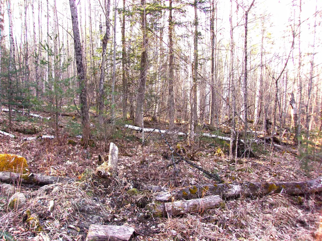 Deerfield Drive Haverhill NH 03785