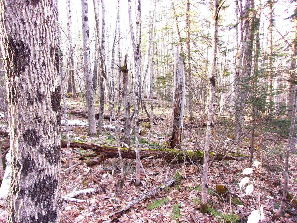 Deerfield Drive Haverhill NH 03785