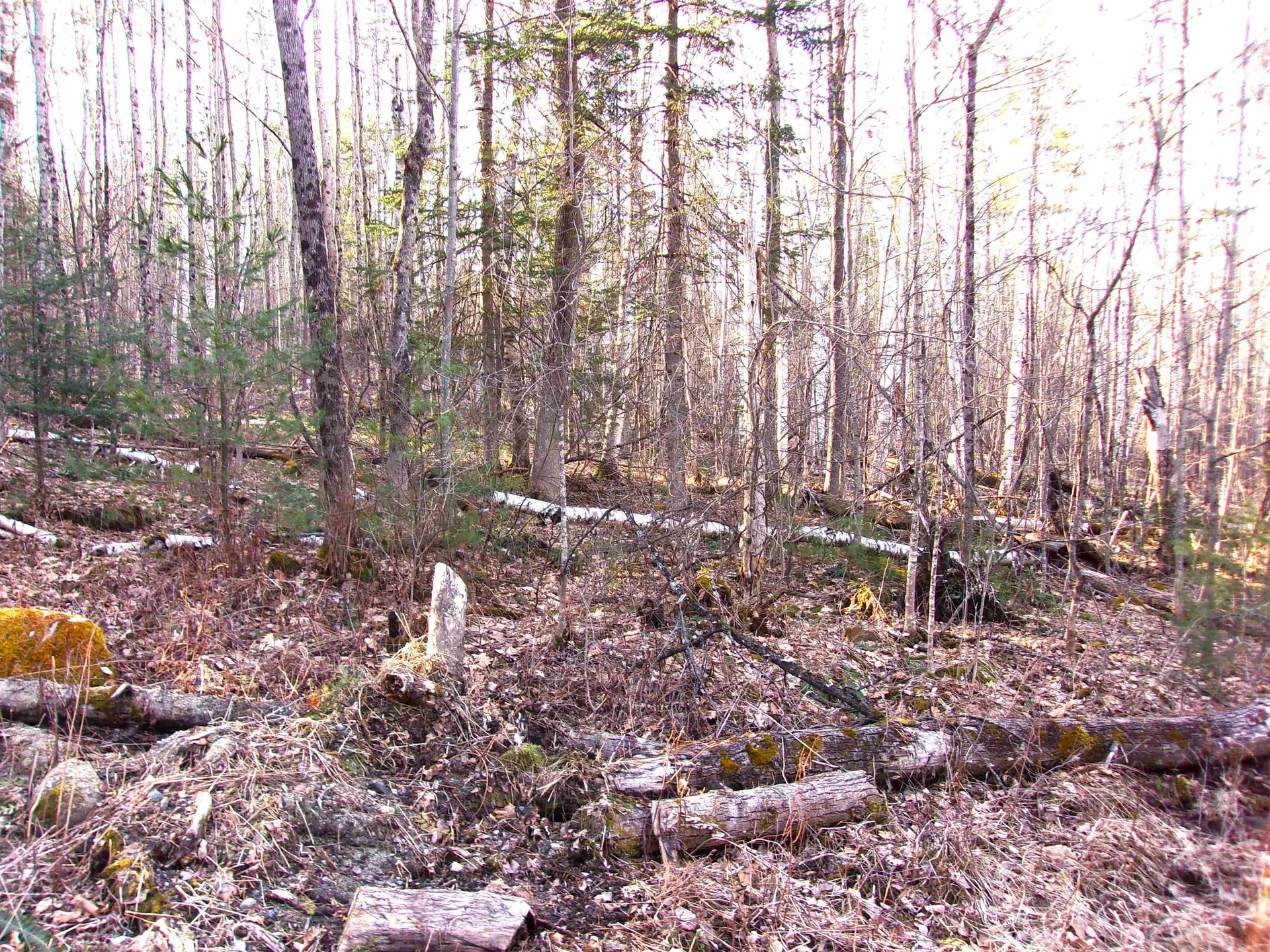 Deerfield Drive Haverhill NH 03785