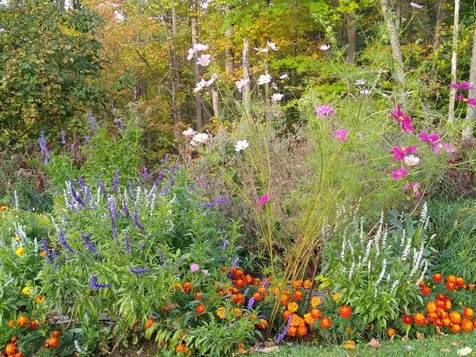 148 East Hill Road Woodstock VT 05071