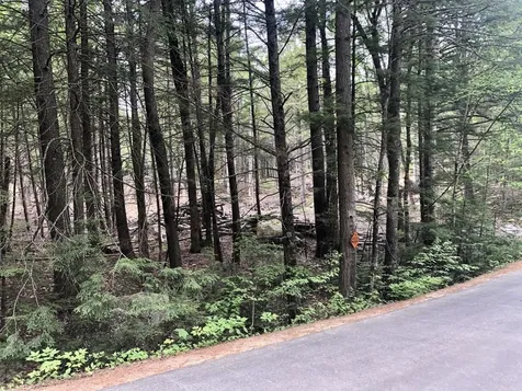 Lot R06-42 Forest Pond Road New Hampton NH 03256