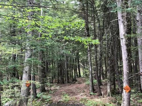 Lot R06-42 Forest Pond Road New Hampton NH 03256