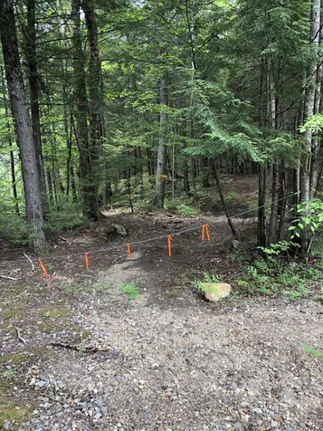 Lot R06-42 Forest Pond Road New Hampton NH 03256