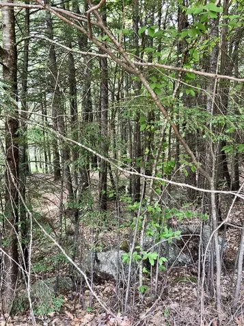 Lot R06-42 Forest Pond Road New Hampton NH 03256