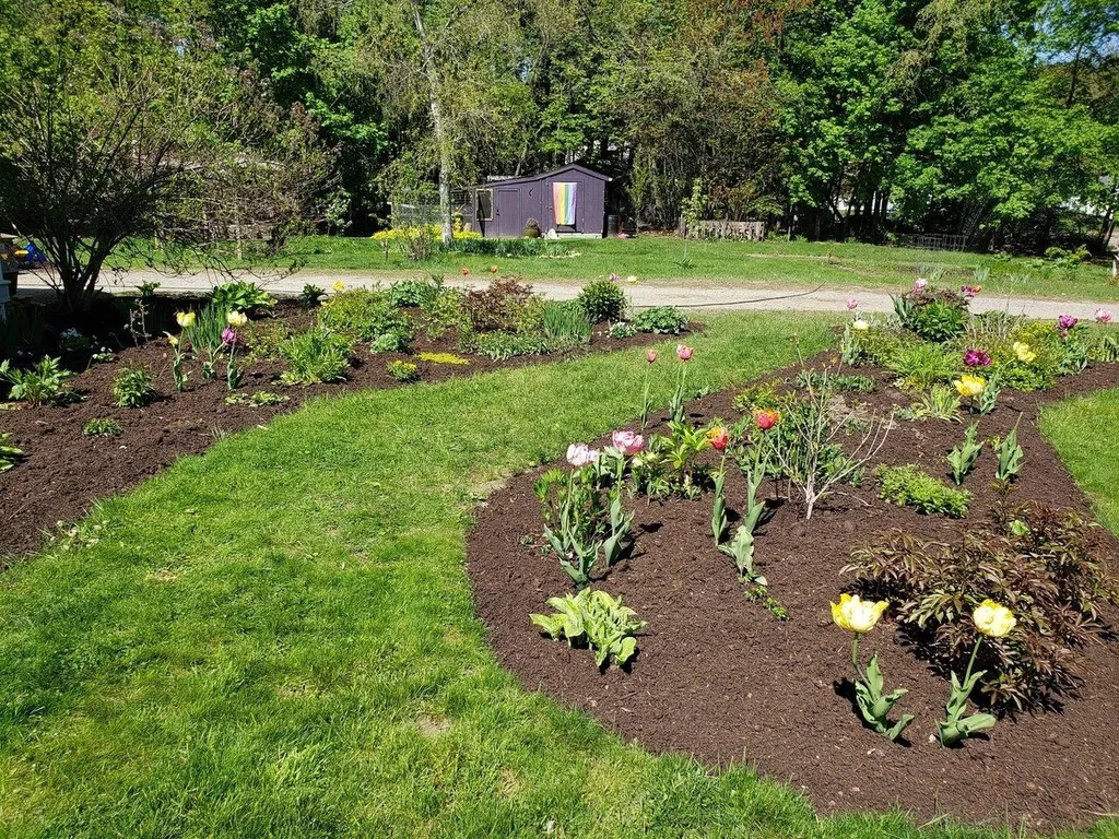 498 Bean Road Colchester VT 05446
