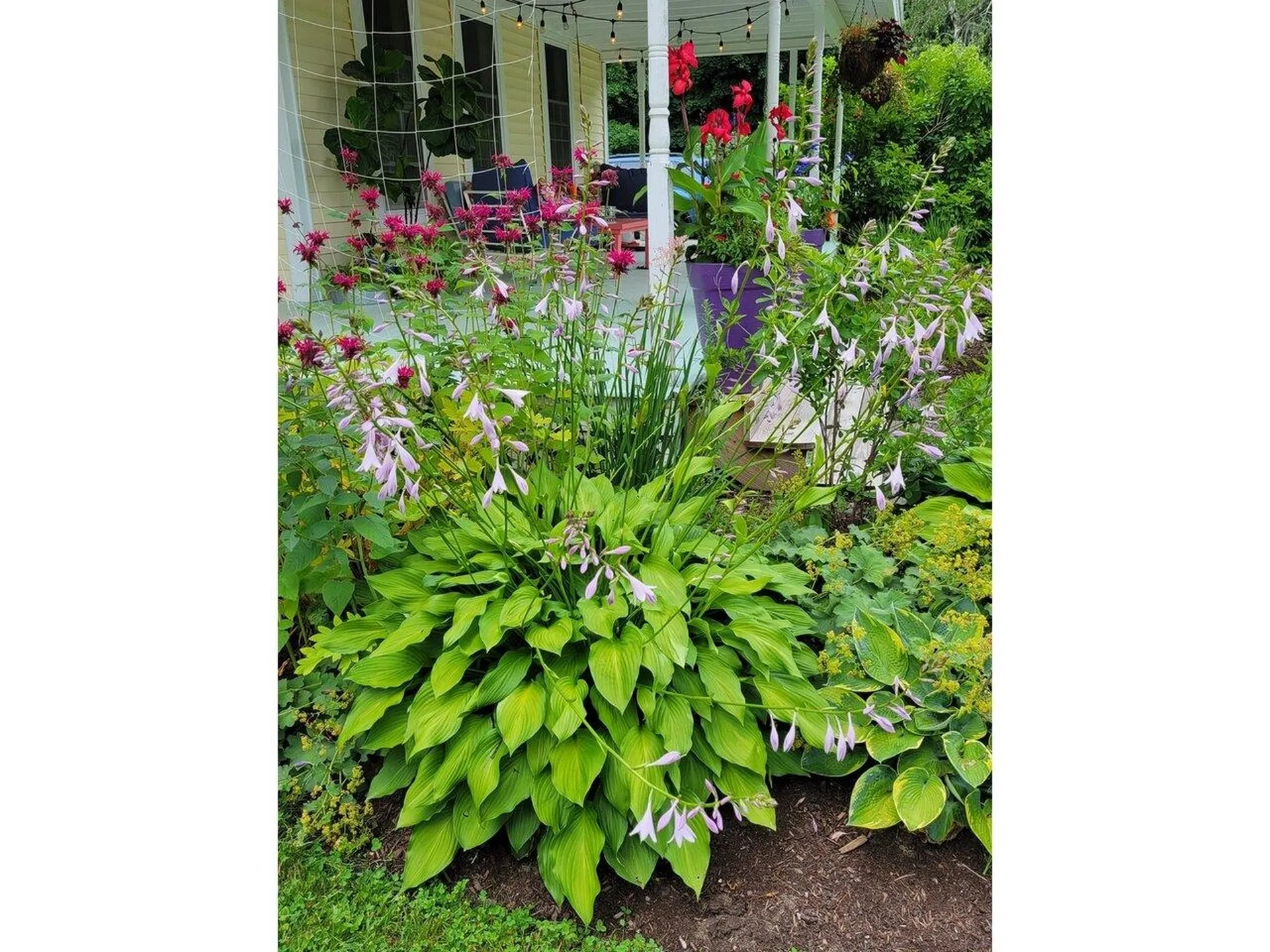 498 Bean Road Colchester VT 05446