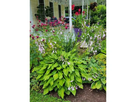 498 Bean Road Colchester VT 05446