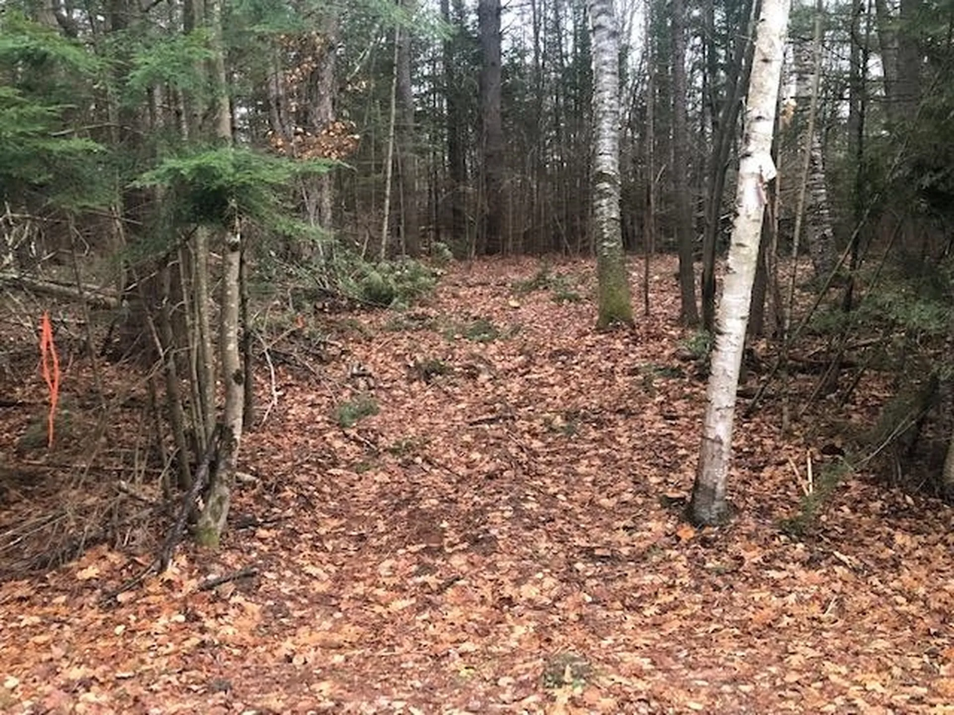 Wildcat Drive Haverhill NH 03785