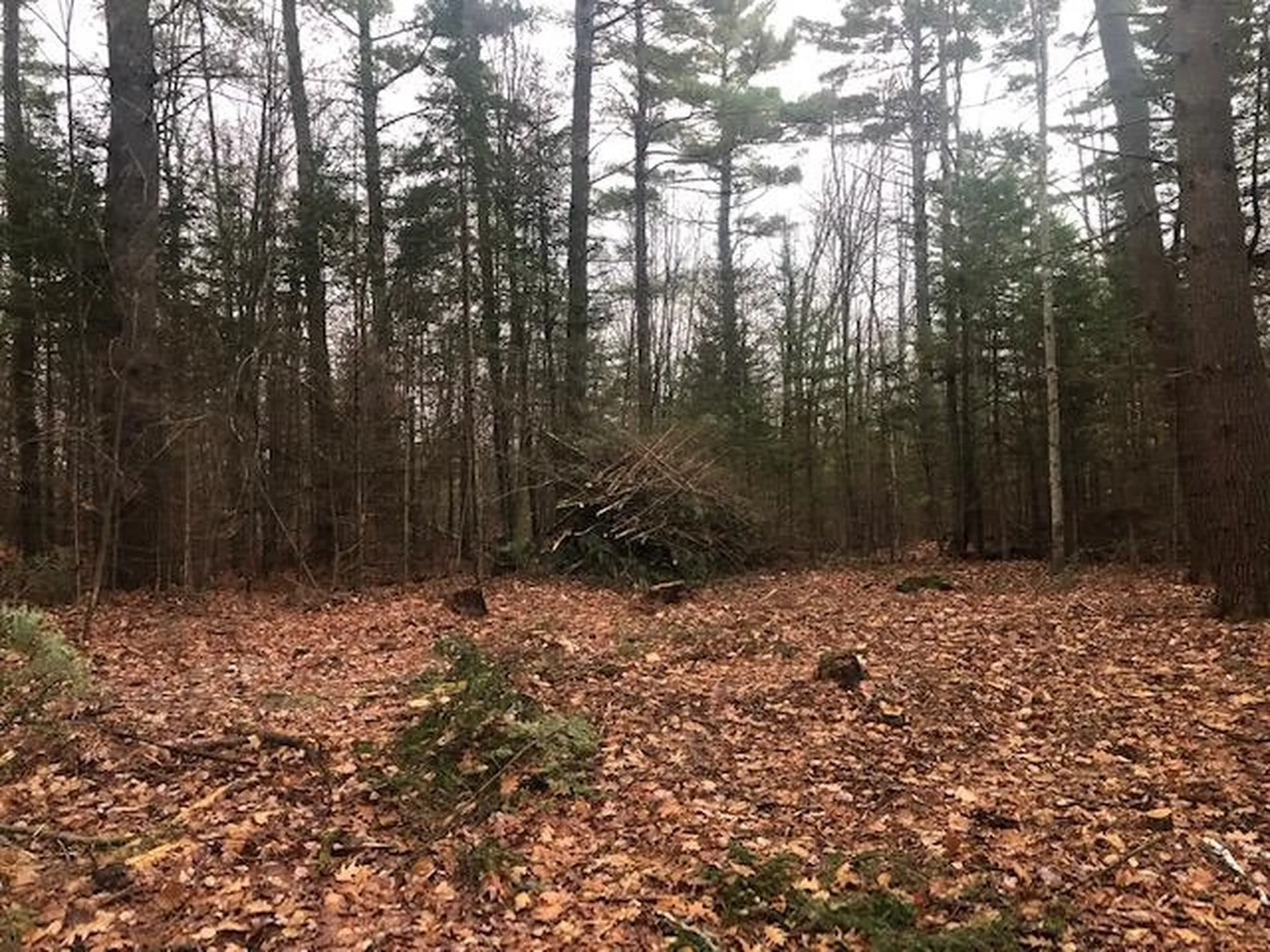 Wildcat Drive Haverhill NH 03785