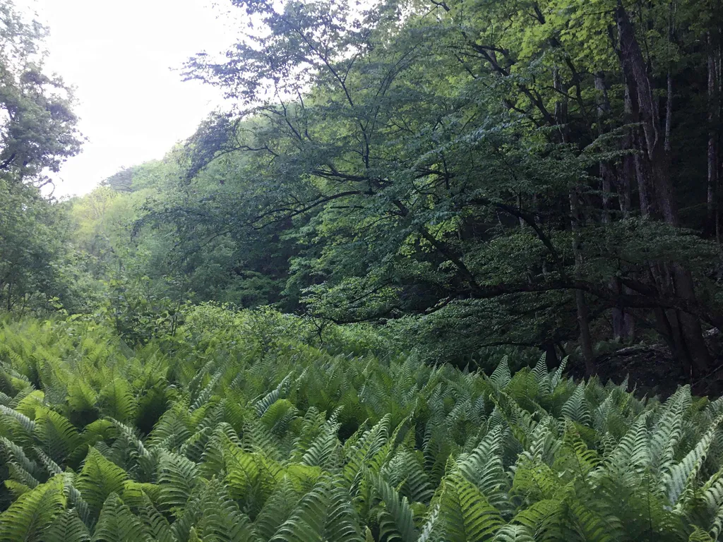 324 Old Mill Pond Road Windsor VT 05089
