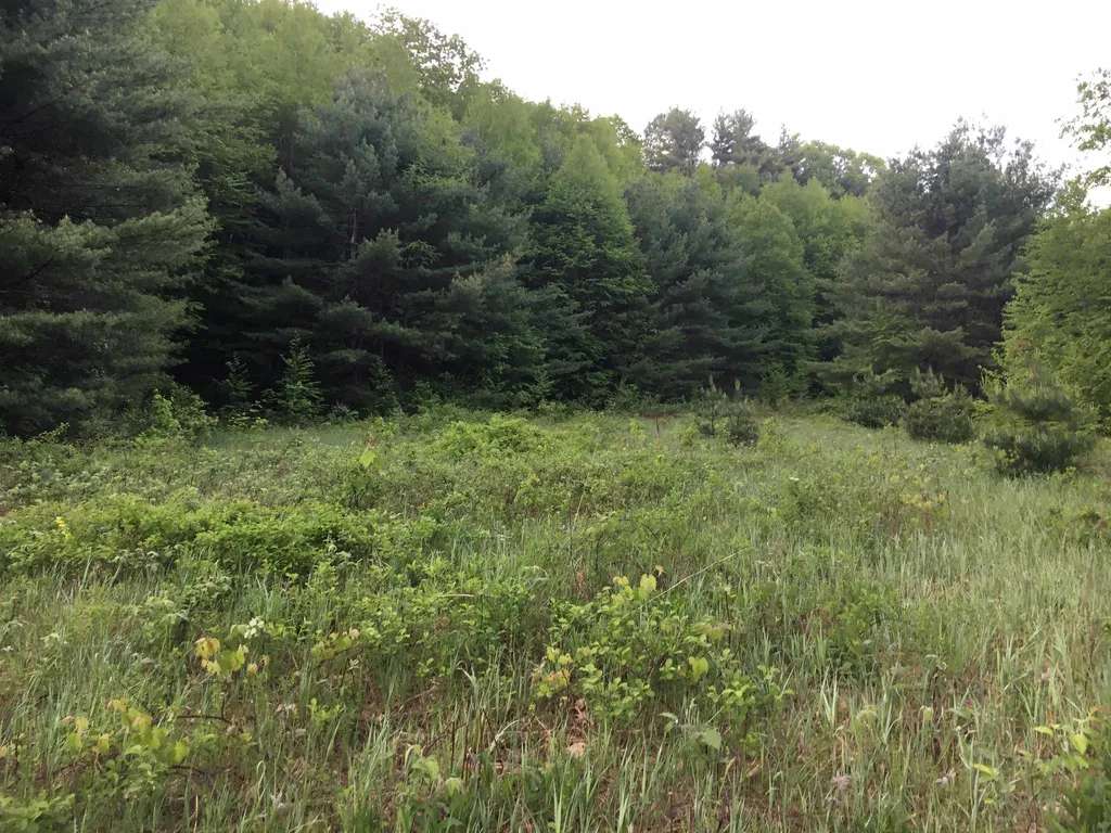 324 Old Mill Pond Road Windsor VT 05089