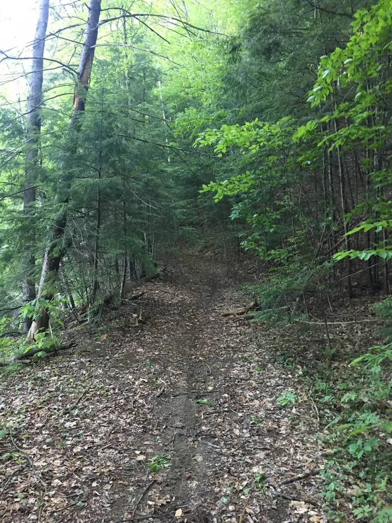 324 Old Mill Pond Road Windsor VT 05089
