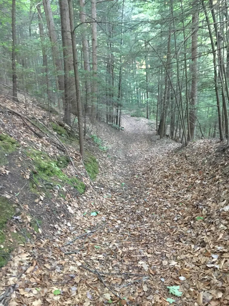 324 Old Mill Pond Road Windsor VT 05089