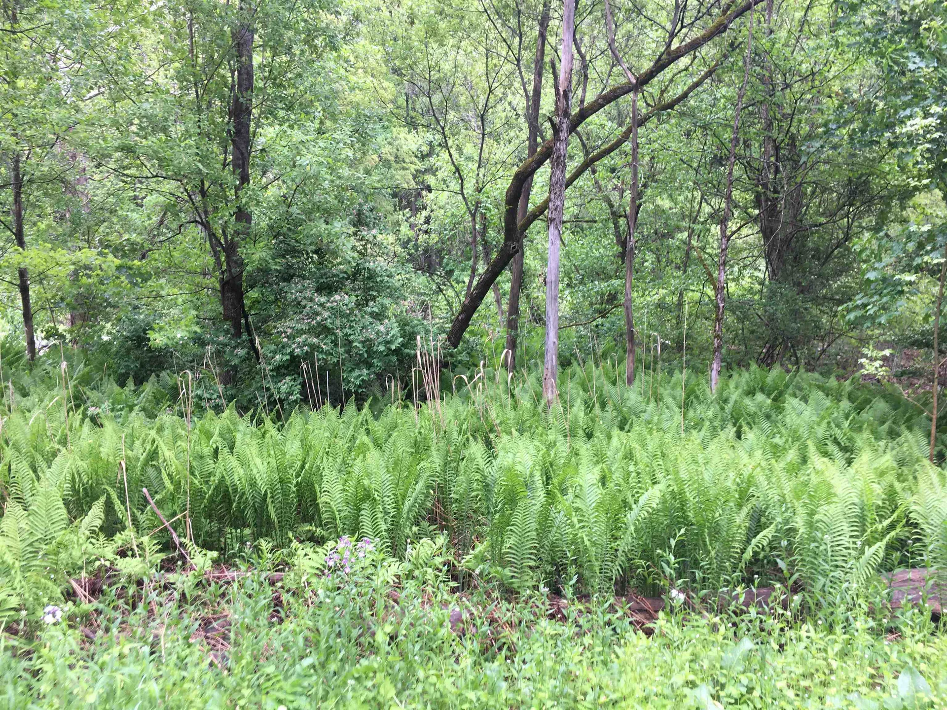 324 Old Mill Pond Road Windsor VT 05089