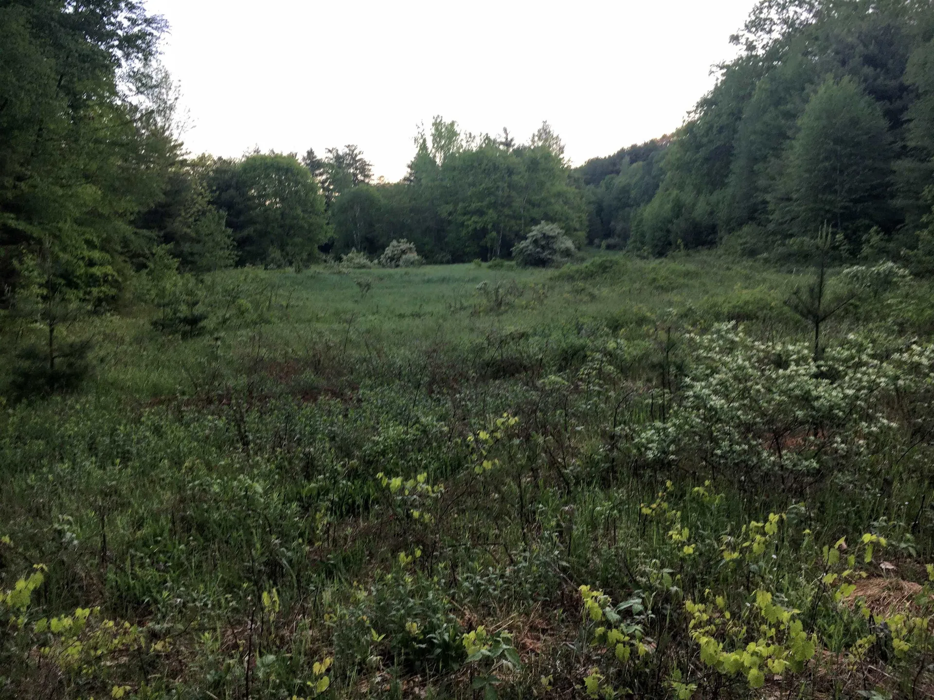 324 Old Mill Pond Road Windsor VT 05089