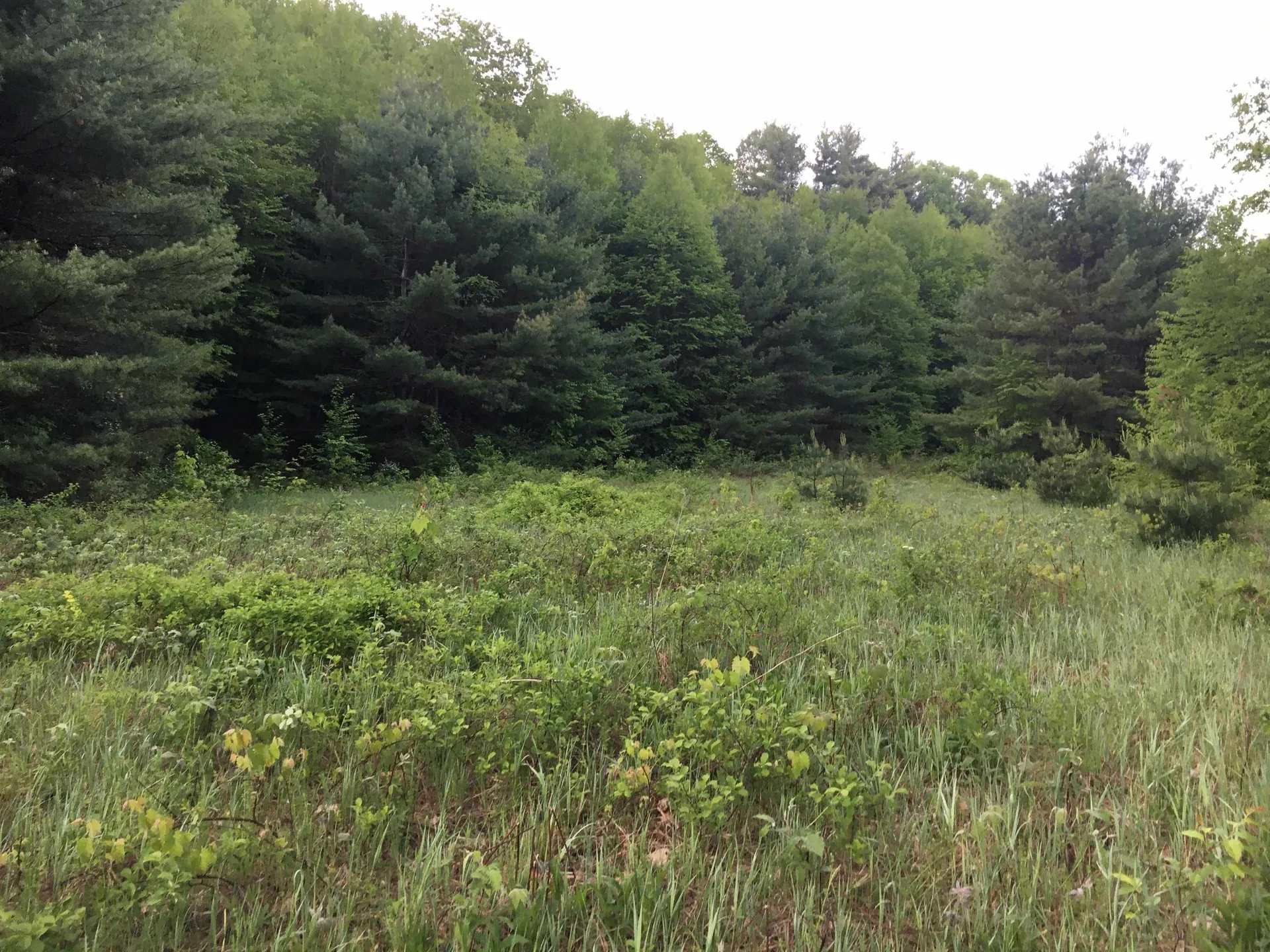 324 Old Mill Pond Road Windsor VT 05089