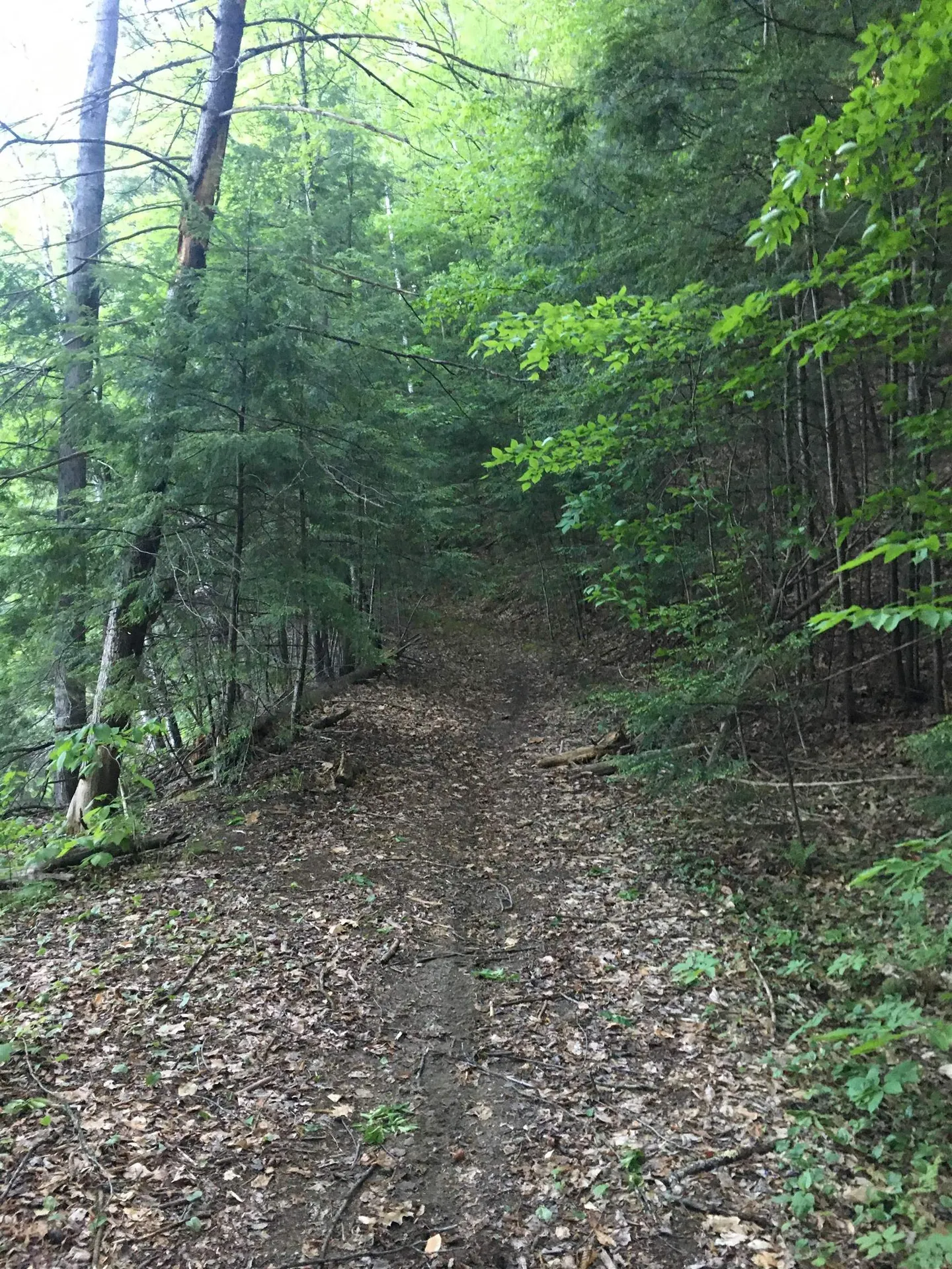 324 Old Mill Pond Road Windsor VT 05089