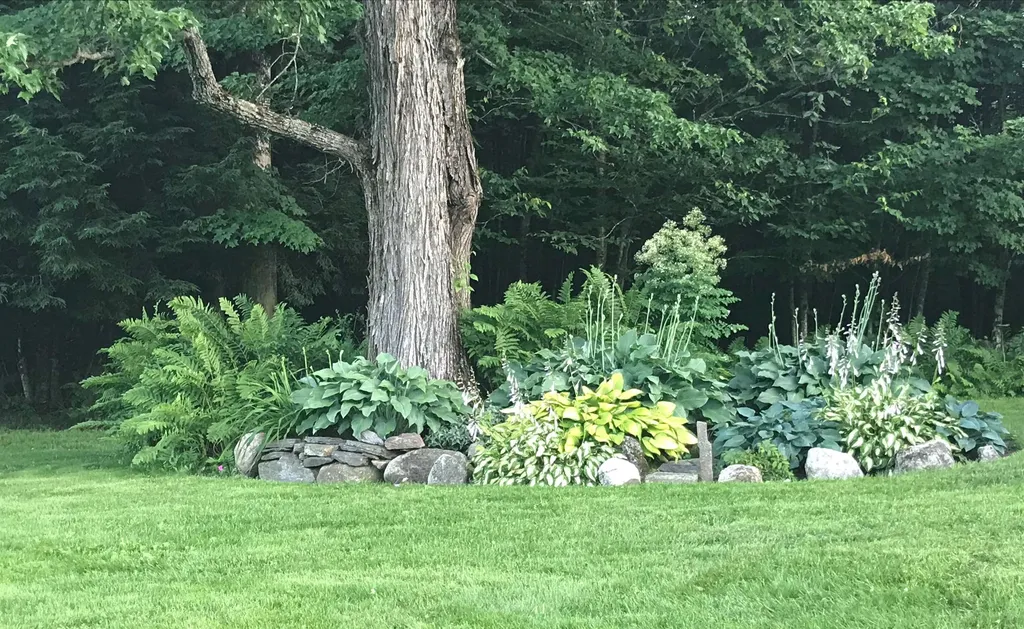 292 Williams Hill Road Grafton NH 03240