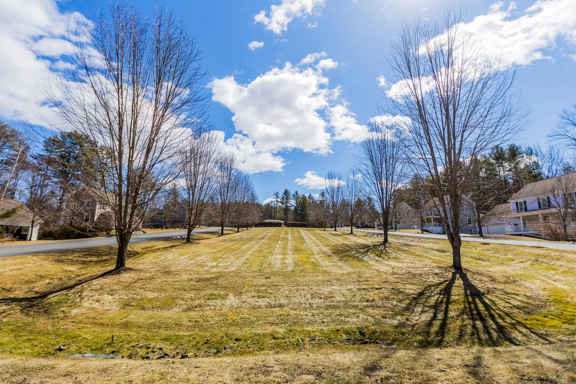 41 Camp Brook Common Hanover NH 03755