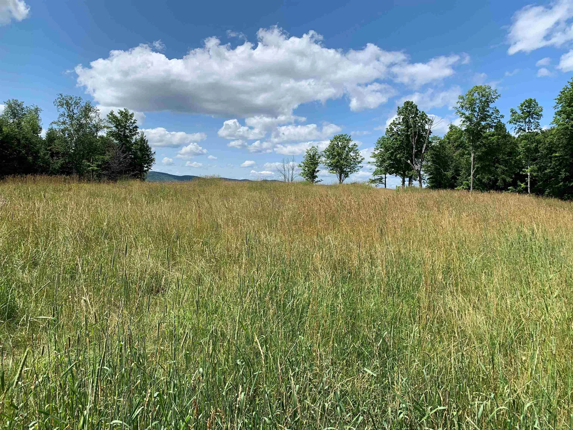 00 Grove Hill Road Woodstock VT 05091